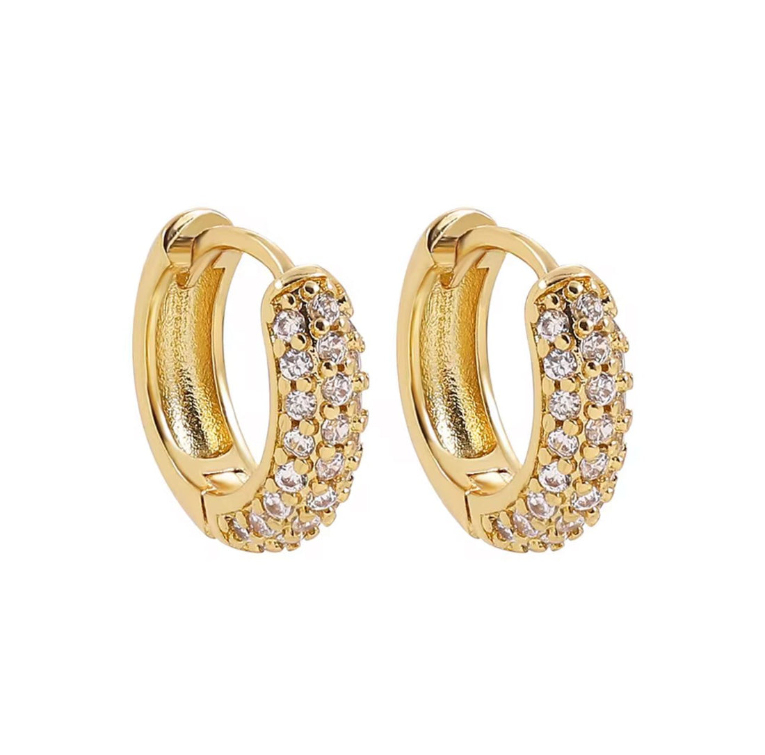 Small Hoop Zircon Earrings